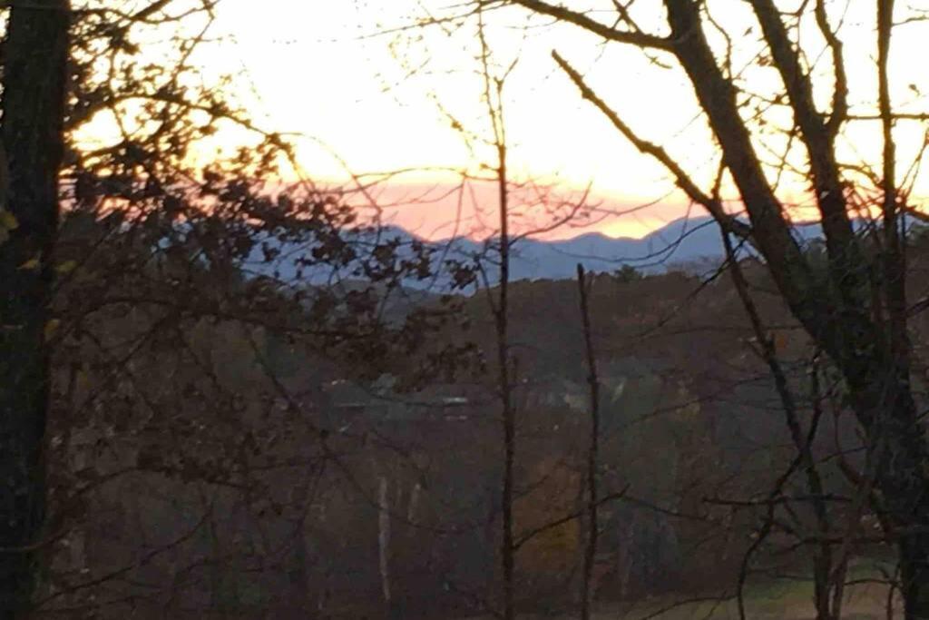 Serenity Views Comfort - Close To City & Parkway! Weaverville Eksteriør billede