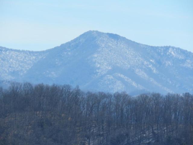 Serenity Views Comfort - Close To City & Parkway! Weaverville Eksteriør billede