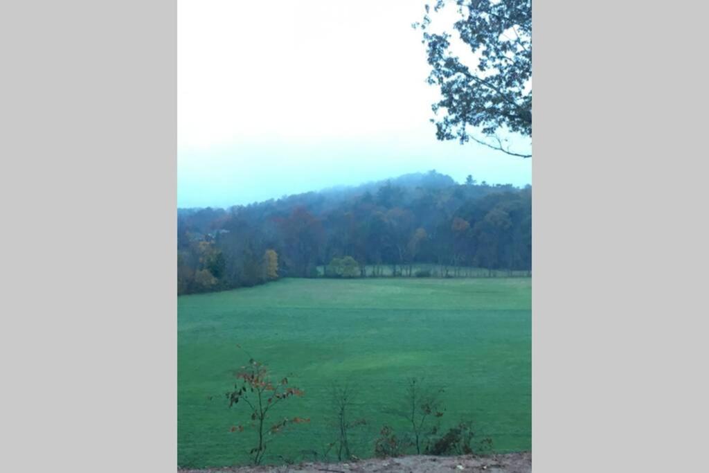 Serenity Views Comfort - Close To City & Parkway! Weaverville Eksteriør billede