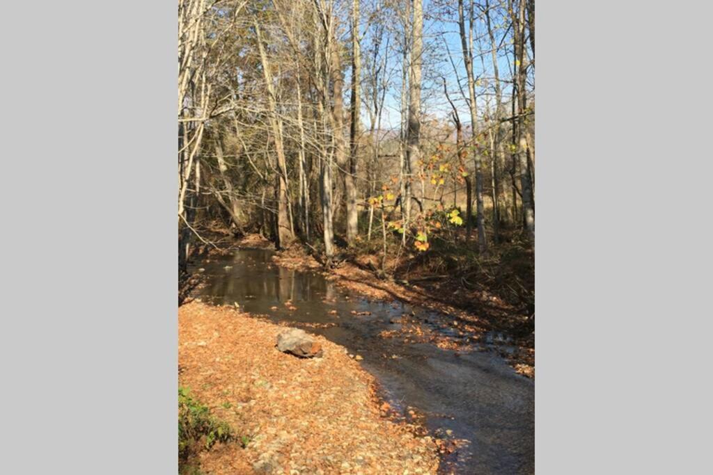Serenity Views Comfort - Close To City & Parkway! Weaverville Eksteriør billede